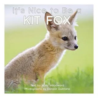 It's Nice to Be a Kit Fox