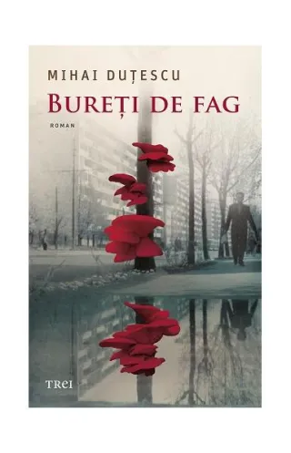 Bureți de fag