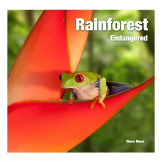 Rainforest