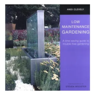 Low Maintenance Garden, Andi Clevely