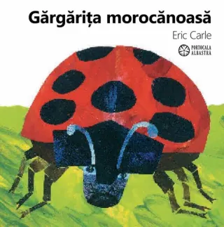 Gărgărița morocănoasă