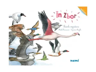 În zbor