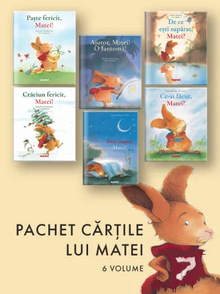 Pachet Cărțile lui Matei 6 vol.