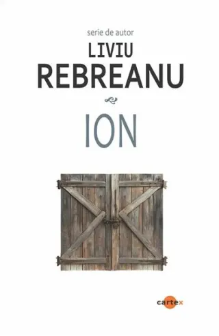 Ion