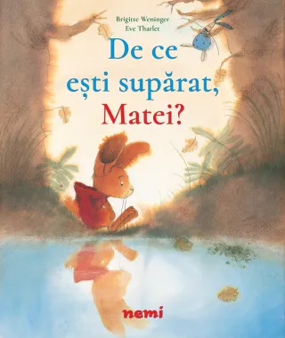 De ce ești supărat, Matei?
