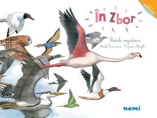 În zbor - Păsările migratoare
