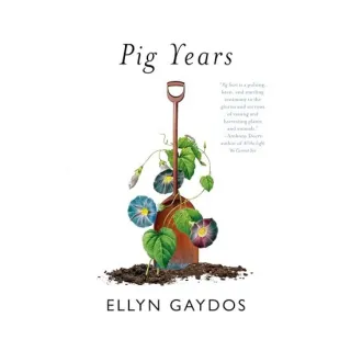 Pig Years