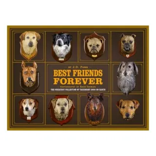 Best Friend Forever