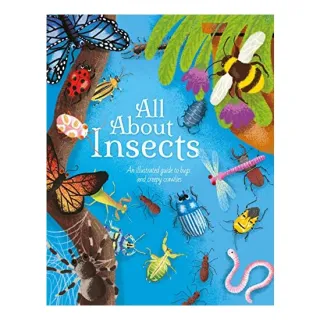 All about Insects, Polly Cheeseman, Iris Deppe
