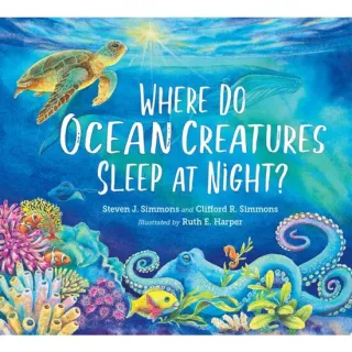 Where Do Ocean Creatures Sleep At Night?