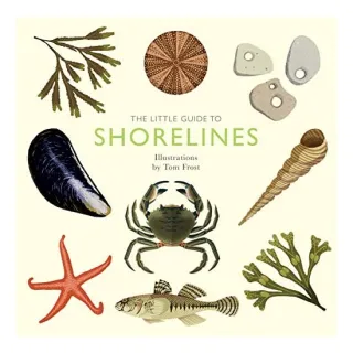 Little Guide to Shorelines