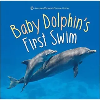 Baby Dolphin's First Swim, American Museum of Natural History