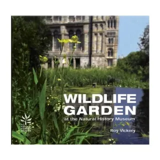 Wildlife Garden : At the Natural History Museum