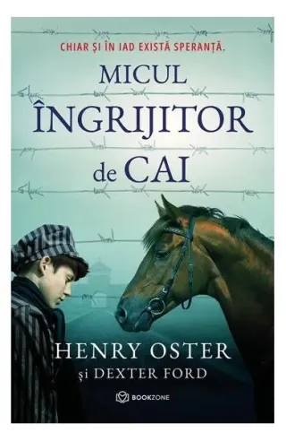 Micul îngrijitor de cai