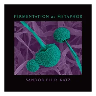 Fermentation As Metaphor