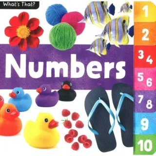 What's That? Numbers