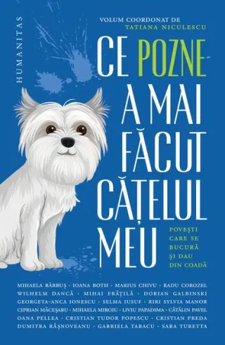 Ce pozne-a mai făcut cățelul meu