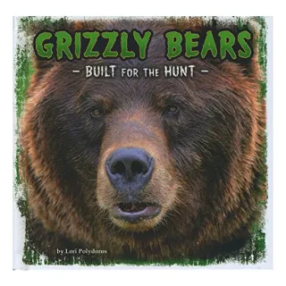 Grizzly Bears