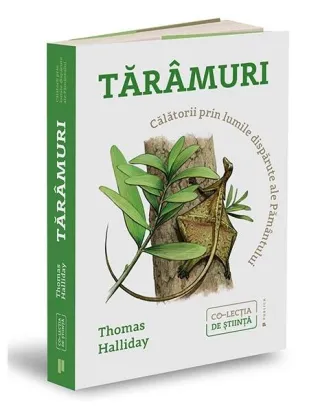 Tărâmuri
