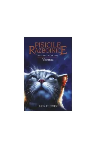 Pisicile războinice. Puterea celor trei. Viziunea (Vol.13)