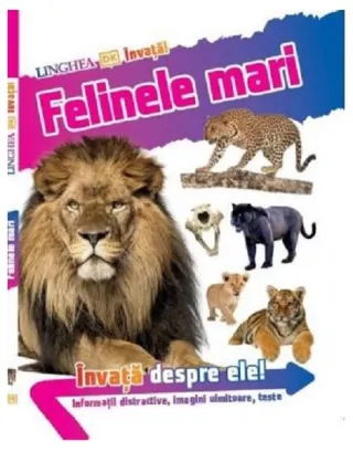 Învață! Felinele mari