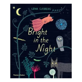 Bright In The Night