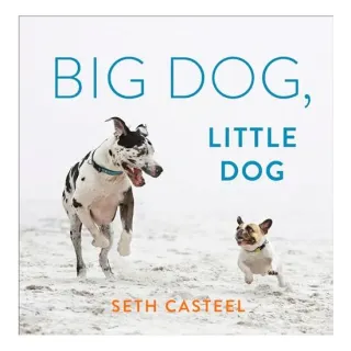 Big Dog, Little Dog