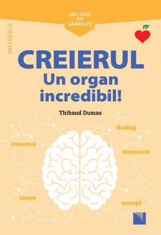 Mic ghid de sănătate: Creierul. Un organ incredibil!