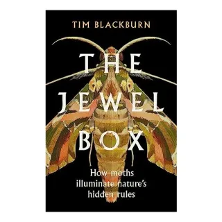 Jewel Box
