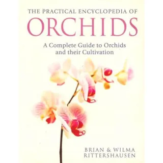 Orchids