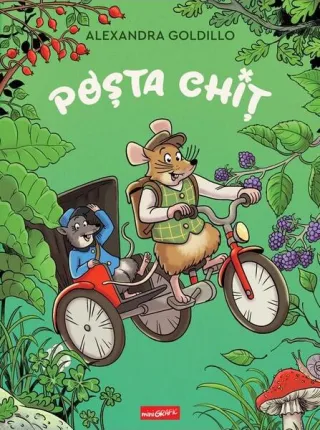 Poșta Chiț