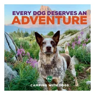 Every Dog Deserves an Adventure