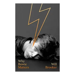 Why Bowie Matters