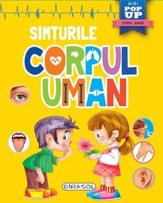 Mini pop-up: Corpul uman. Simțurile