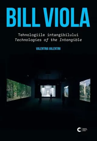 Bill Viola - Tehnologiile intangibilului. Tehnologies of the Intangible