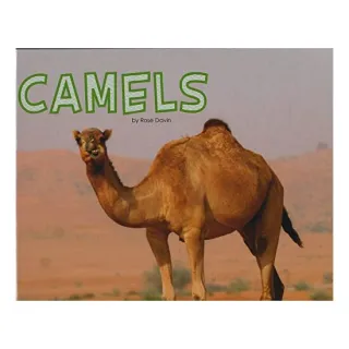 Camels