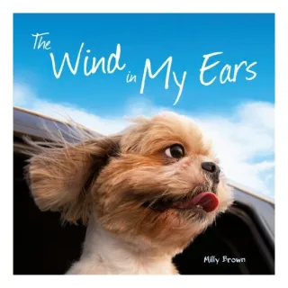 The wind in my ears