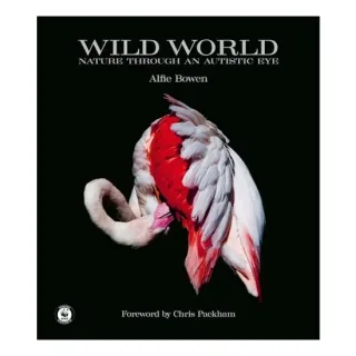 Wild World