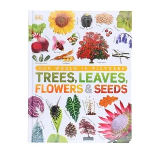 Our World in Pictures: Trees, Leaves, Flowers & Seeds: A visual ...