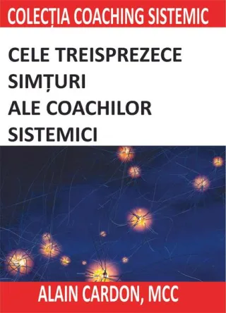 Cele treisprezece simțuri ale coachilor sistemici