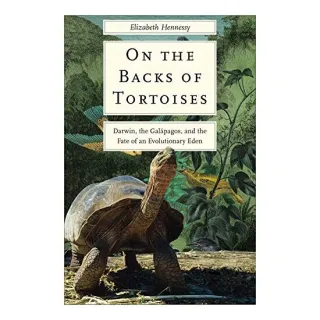 On the Backs of Tortoises