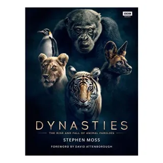 Dynasties - DAMAGED