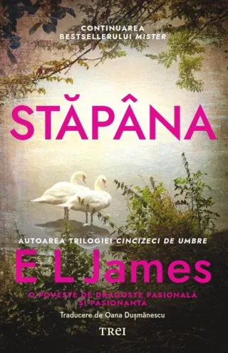 Stăpâna (seria Mister, vol. 2)