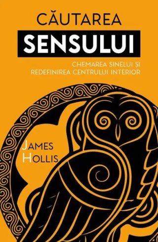 Căutarea sensului