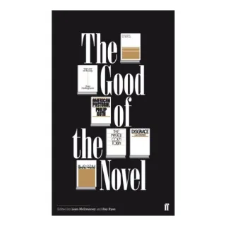 The Good of the Novel
