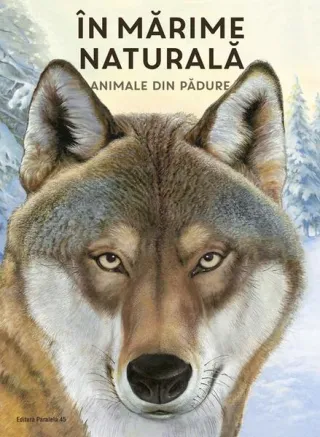 În mărime naturală. Animale din pădure