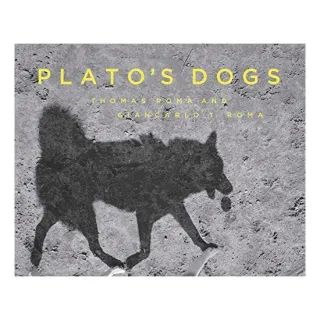Plato's Dogs