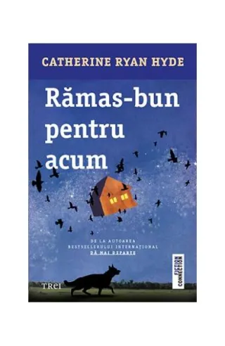 Rămas-bun pentru acum
