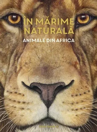 În mărime naturală. Animale din Africa