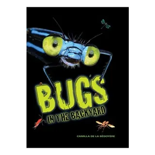 Bugs in the backyard